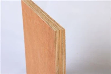 Pavimentazione del contenitore